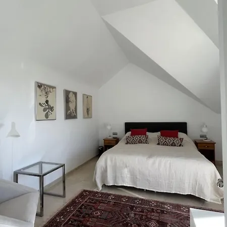 Penthouse Duplex 3 Chambres, Vue A Elviria